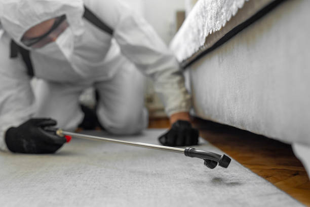 Professional Pest Control technician working in Harvard, IL