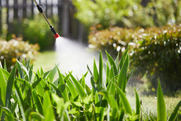 24/7 Emergency Pest Control experts in Harvard, IL